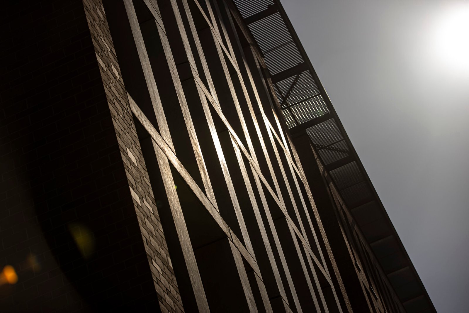 METU-Infopark_CZ_6990 METU-Infopark_CZ_6990