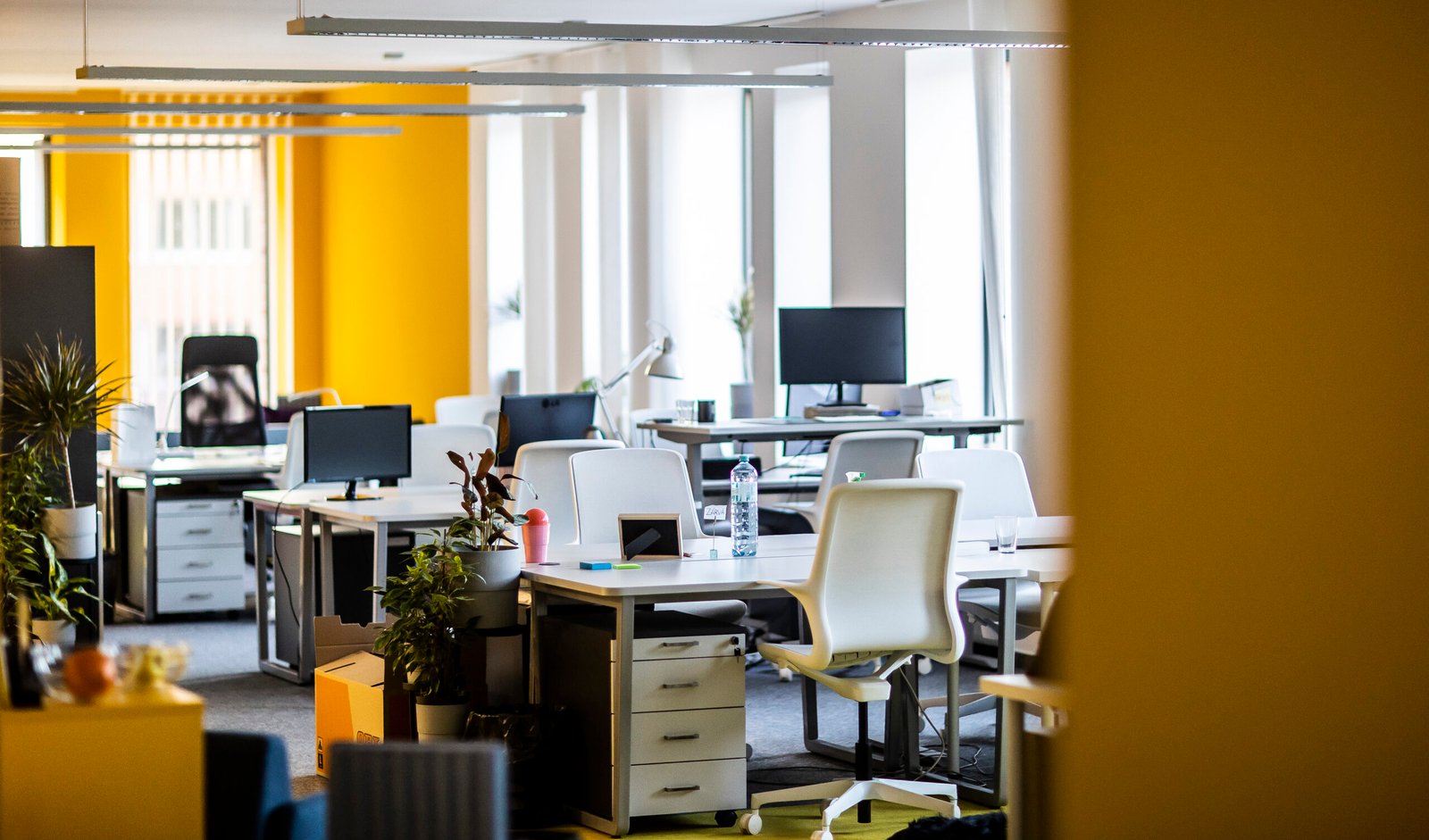 METU-Infopark_CZ_7876 METU-Infopark_CZ_7876