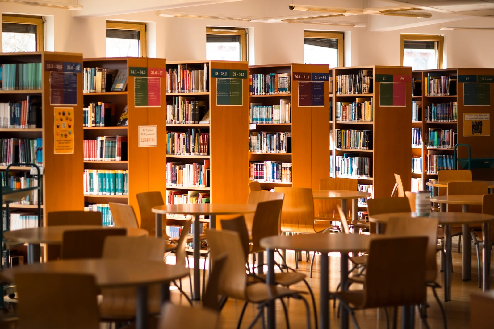 METU-NagyLajos_CZ_8916 METU-NagyLajos_CZ_8916